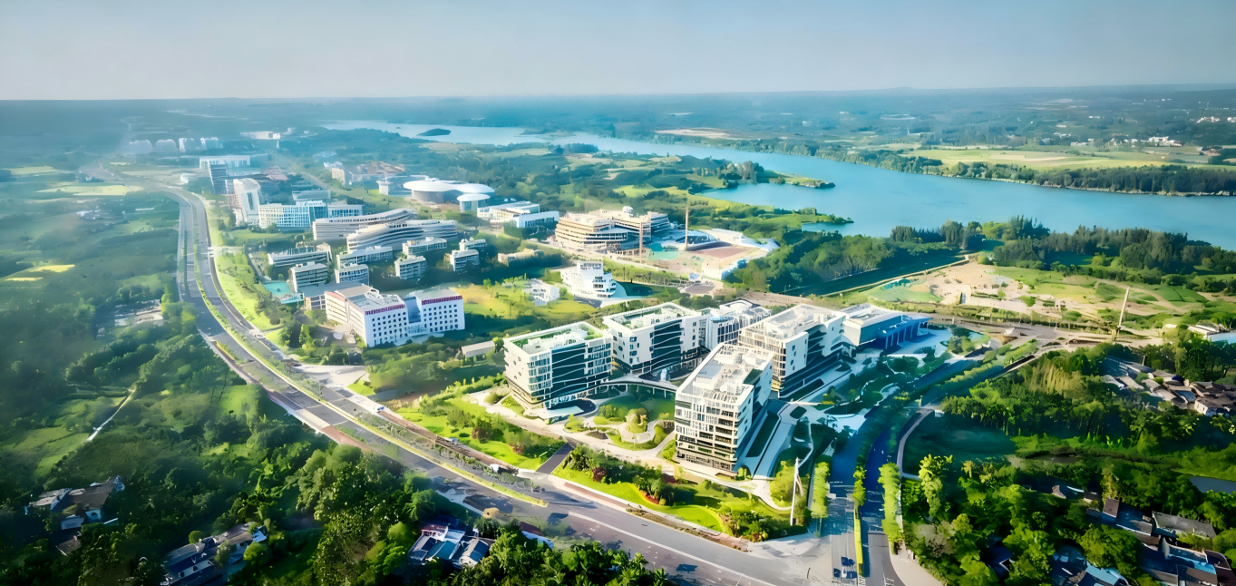 Treatments & Services